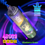 Bang King 40000 Puffs – Premium Jednokratni Vape s 40.000 Pufova i 12 Premium Ukusa