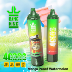 Bang King 40000 Puffs – Premium Jednokratni Vape s 40.000 Pufova i 12 Premium Ukusa - Slika 9