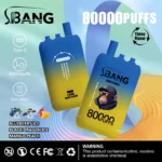 Bang Leader 80000 Puffs Vape – Neusporediva Snaga i Raznolikost Okusa - Slika 13